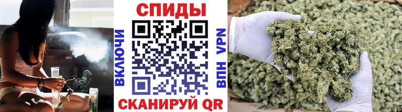 Бутират буратино Жирновск