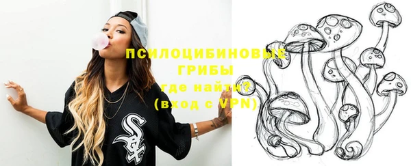 прущий лед Семёнов