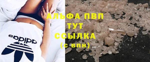 гашик Алексеевка
