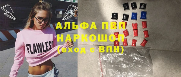 гашик Алексеевка